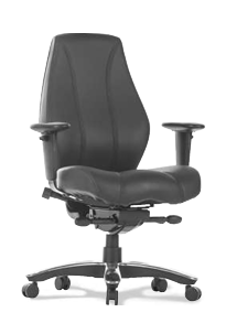 Black Leather Option
